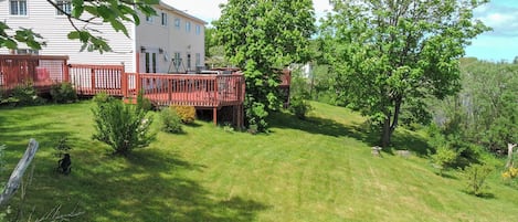 The house is a duplex style home with a large yard. Owners live in other house.