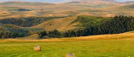 Mountain and valley views from house.