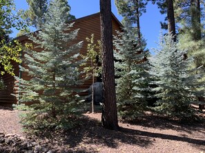 Mature trees provide privacy for patio