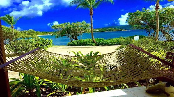 Our Hammock View Picture was taken by 1 of our guests Karen Hutchison May30,16
