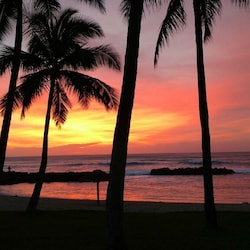 Gorgeous sunsets on the lagoons, warm nights & ocean sounds await your arrival