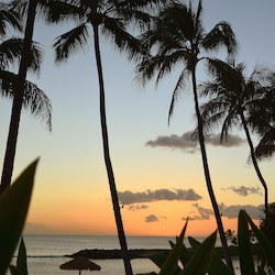 Gorgeous sunset sitting at the beach bar