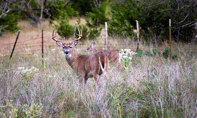 Safe and a terrific getaway to the peaceful countryside.