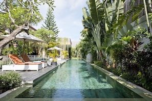 25m lap pool tropical garden