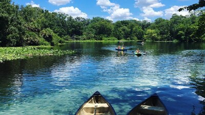 Beautiful 5br 4bath, sleeps 14: Wekiva Springs, Disney, Universal & Antiques.