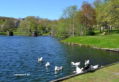 Water View: Spacious, Relaxed, and Charming Heritage Home in Trendy Downtown