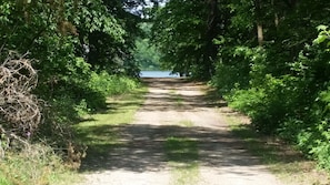 Road from cabin to my dock 