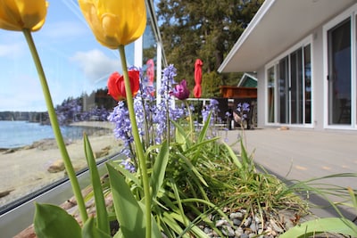 Beachfront House In Sechelt