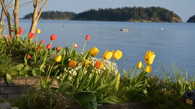 Beachfront House In Sechelt