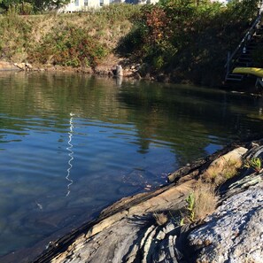 Swimming cove with kayaks ready to use