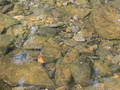 The Eagle's Landing  on Minamkeak Lake