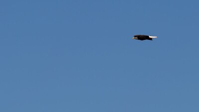 The Eagle's Landing  on Minamkeak Lake