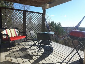 2019 update: Pergola for shade & privacy. Grapes planted and now grown!