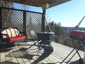 2019 update: Pergola for shade & privacy. Grapes planted and now grown!