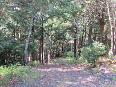 The Eagle's Landing  on Minamkeak Lake