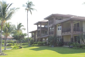 View of the lanai from the coconut grove, upper right is 22A