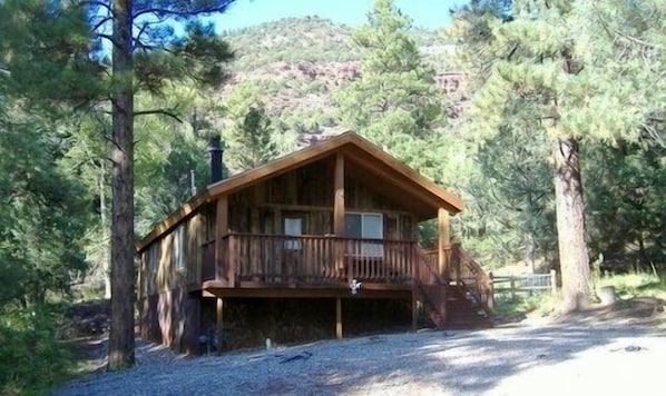 Cabin in the pines on 35 acres