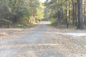 Walking, hiking or ATV riding on quite roads