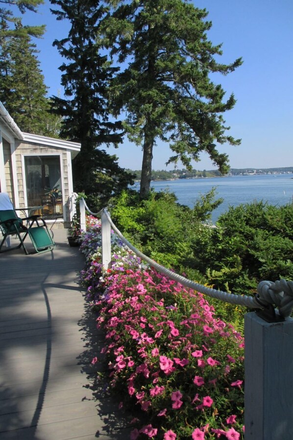 In season the porch is lined with beautiful flowers