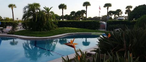 Beautiful heated pool.