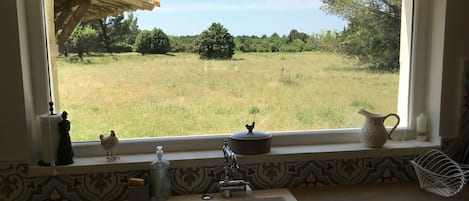 La garrigue vue de la cuisine