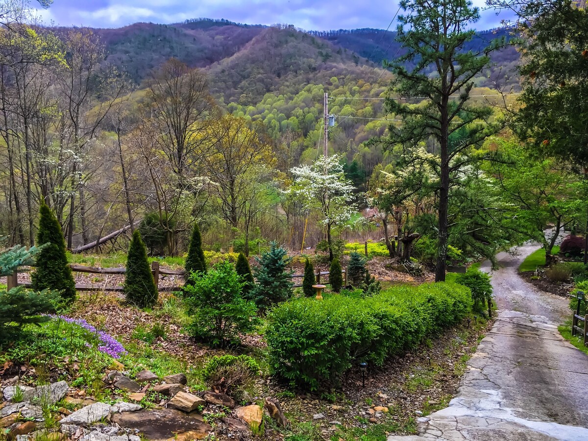 Nancy’s Treetop Mountain Vista~ Romantic~Hot Tub~Cool Hikes~Amazing Views!