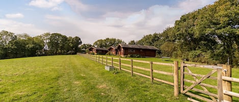 New fencing in paddock opposite, Brambles is the nearest lodge