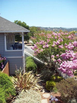 Beautiful mountains and crepe myrtle