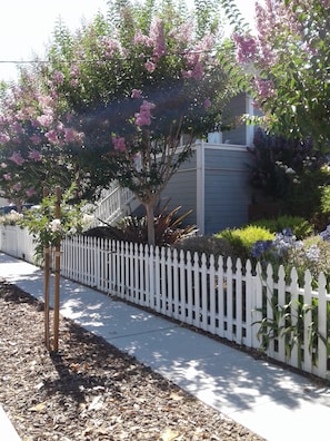A beautiful walk to downtown Napa.