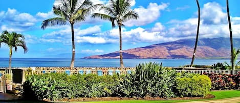 Oceanfront view from our lanai