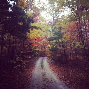 Driveway to cottage