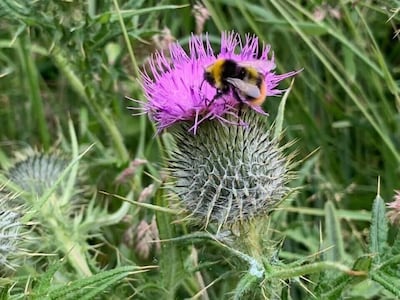 Spacious 4* rural cottage stunning views Ceres ,Nr.St.Andrews 