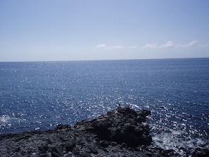 And if you fancy a bit of sea fishing