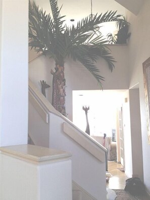20 Foot Palm Tree and nine foot Giraffes-Fantastic Deco-HIgh Ceiling