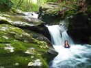 Waterfall on Little Laurel Creek in our community