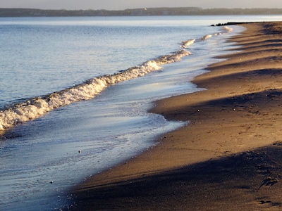Oasis del mar Báltico: no se puede obtener más mar