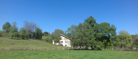 Le gîte dans son écrin de verdure