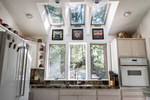 Watching squirrels play through this wall of windows makes washing dishes enjoyable
