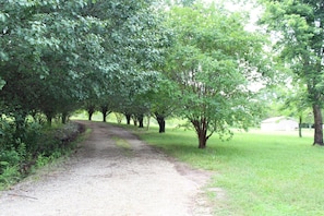 circular driveway with lots of room