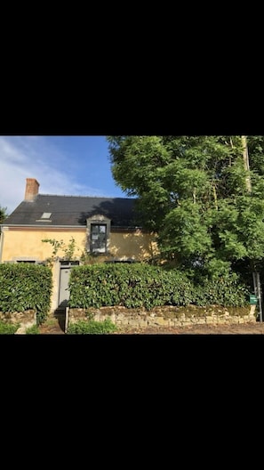 Exteriör