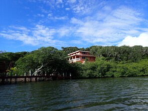 Nestled among trees and mangroves, the house is surrounded by nature.