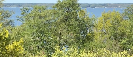 Steinhude mit Meerblick, Pool und Sauna