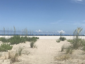 Umbrellas and Dunes on our expansive beach.