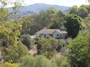 Back of entire house & Guest House nestled amongst oaks & Fallbrook foliage.