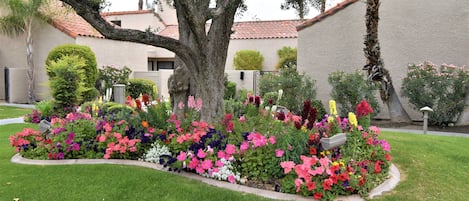 Jardines del alojamiento