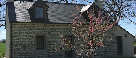 Vue de la maison au printemps avec son beau pêcher en fleur 