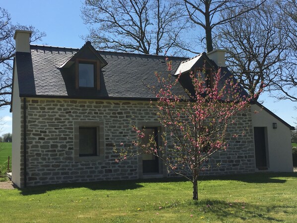 Vue de la maison au printemps avec son beau pêcher en fleur 