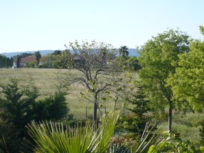 Un site très arboré