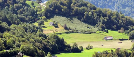 Ansicht von oben