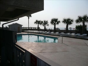 Oceanfront tropical pool area.  More palm trees than most 20 story complexes.